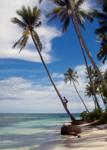 <p>This is probably Sombuan Island (Pulau Lasampung), between Sulawesi and the closest of the  Bangai Islands (Pulau Peleng). 20 mins to walk the perimeter.</p>